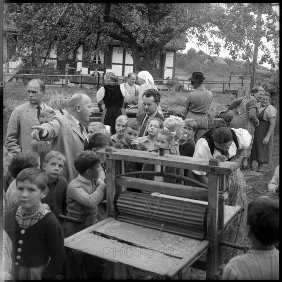 Breaking flax in Zaeziwil, 1956.
