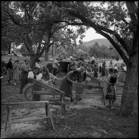 Breaking flax in Zaeziwil, 1956.
