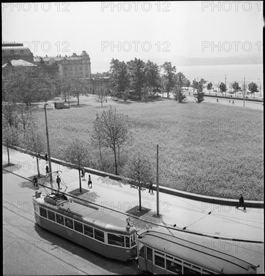 Rape field in the city centre; 1944.