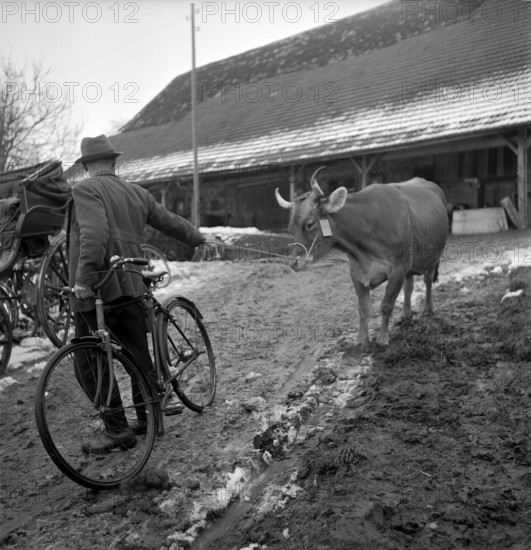 Appenzell; farm being auctioned.