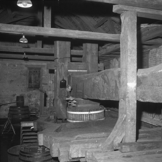 Historical wine press building in Baden, 1955.