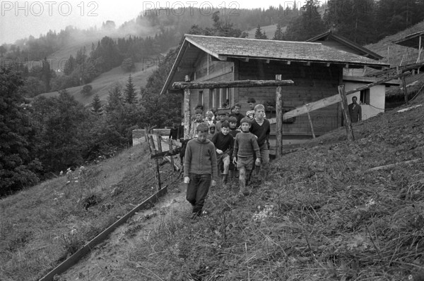 The Winnetou Ranch disposes of 121'000 m2 land, grassland and forest where children from 7 to 12 years old can spend a holiday.