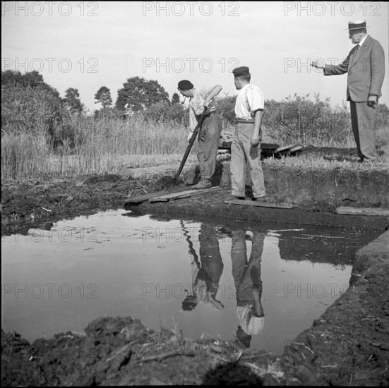 Aufseher beaufsichti.