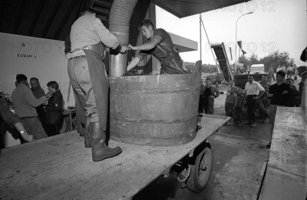 Vintage in Hallau, 1967.