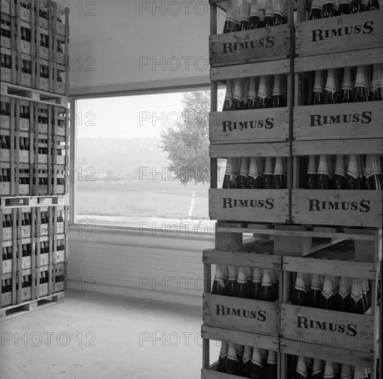 New wine cellars of Rahm company in the Klettgau, 1964.