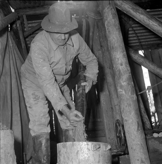 Ernst Glanzmann searching for minerals; 1954.