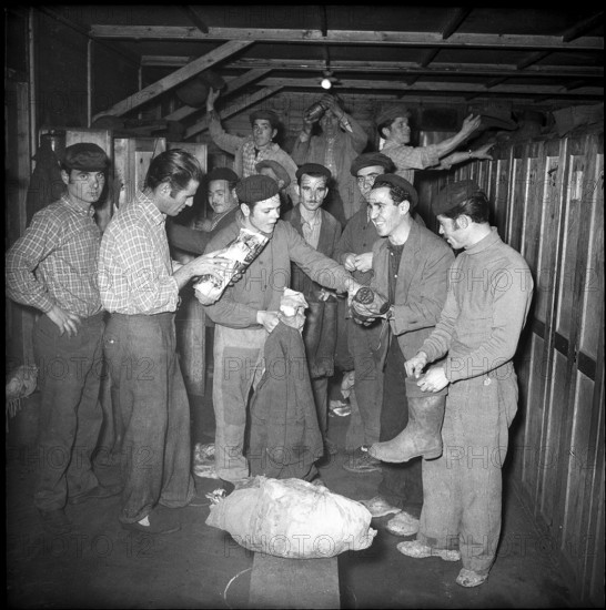 Valais, Grone coal mine, miners in the dressing room; 1957.