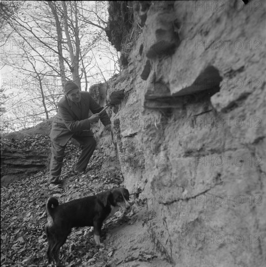 Ernst Glanzmann searching for minerals; 1954.