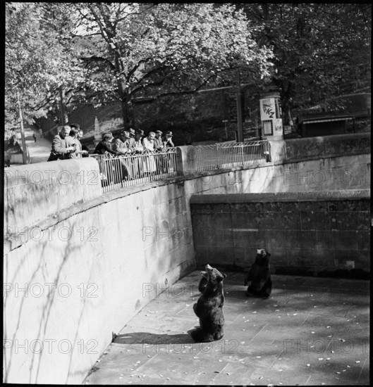 Barengraben in Berne 1941.