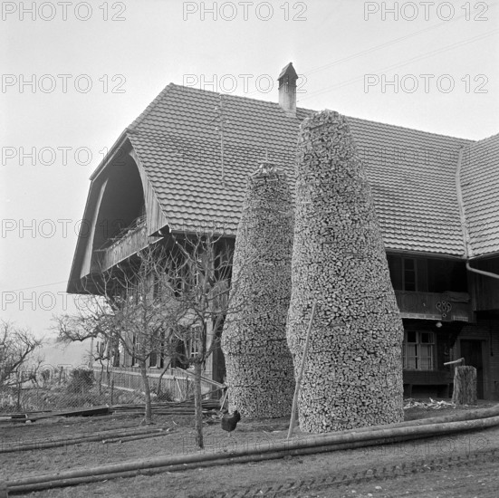 Tristen piled up pieces of firewood, in Bowil, 1964.