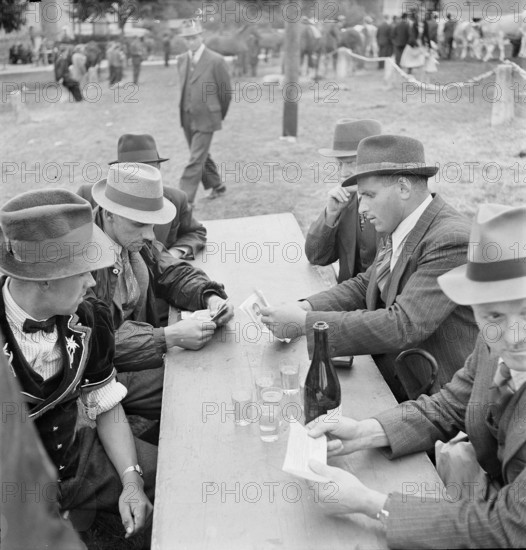 Horse market of Chaindon-Reconvilier, horse-dealing, 1941.
