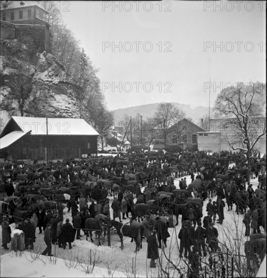 9th Burgdorf inland horse market with market hall, 1944.