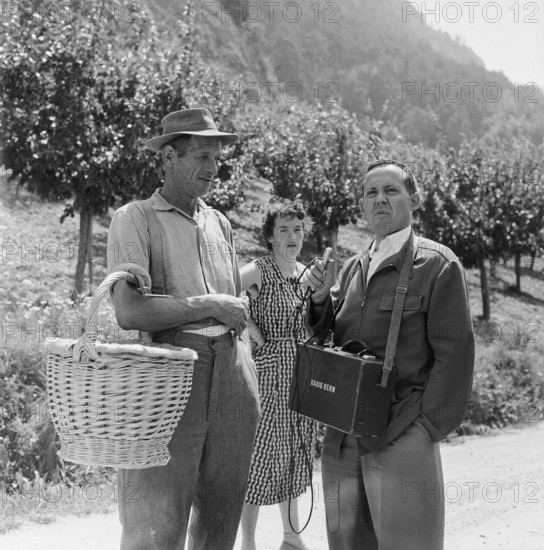 Radio Reporter, Apricot Harvest in Valais, 1959.