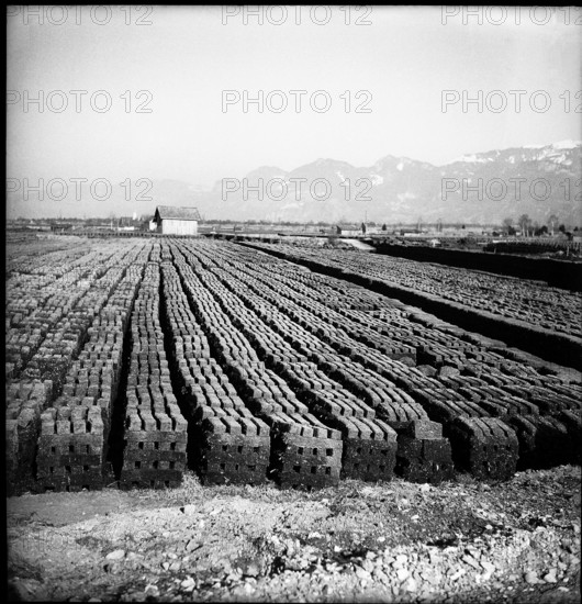 Peat  piled up, Rheintal 1949.