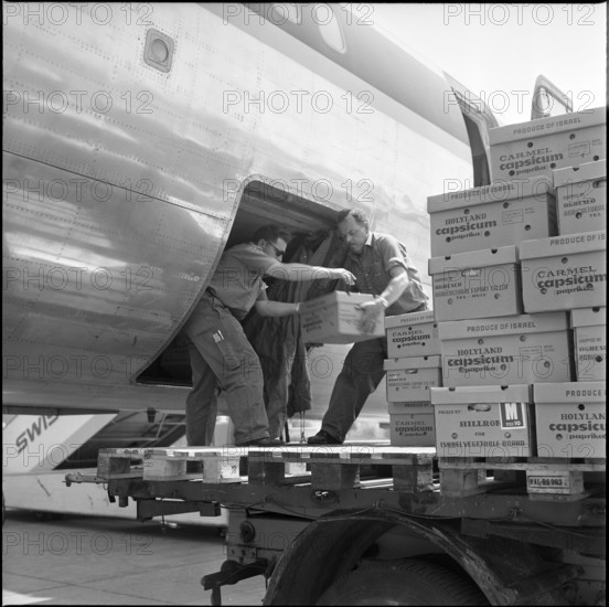 Fresh vegetables from Israel, airport Zurich-Kloten 1966.