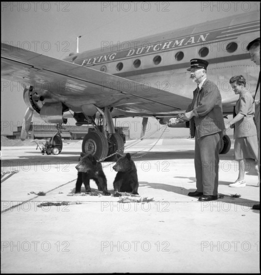 Bern bears fly to Den Haag, Kloten 1948.