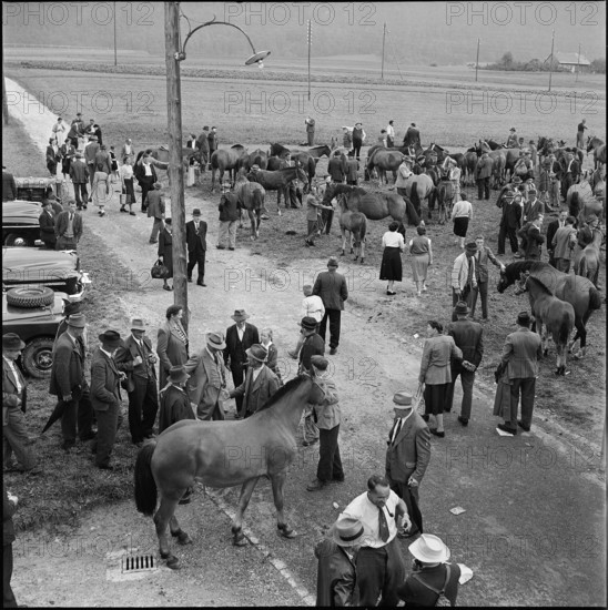 Horse market of Chaindon-Reconvilier, 1952.