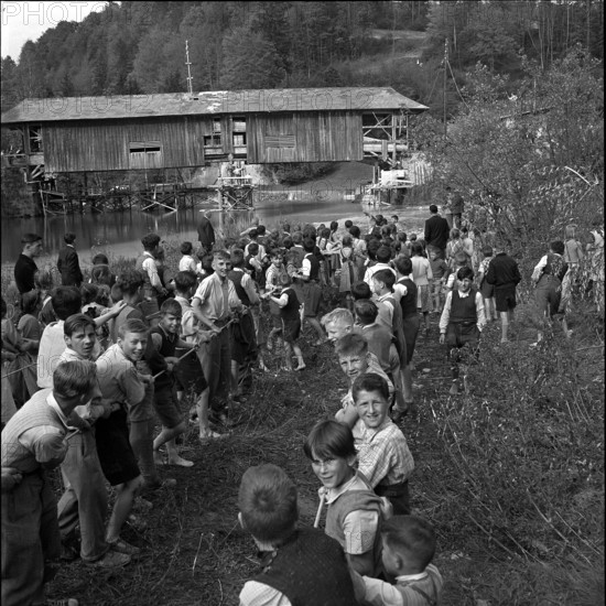 Children helping to displace an old wooden bridge; 1952.