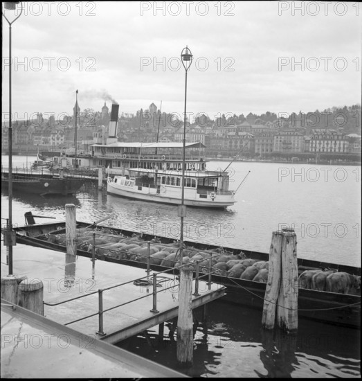 Cattle transport on the Lake Lucerne, 1941.
