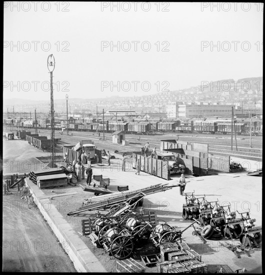 Potato collection in Zurich, 1946.