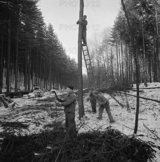 Construction of Autobahn Zurich - Chur near Richterswil, 1960.