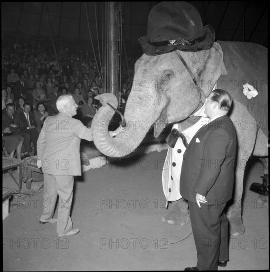 Charles Chaplin with elephant Sandry and Rolf Knie sen. at Circus Knie, 1957.