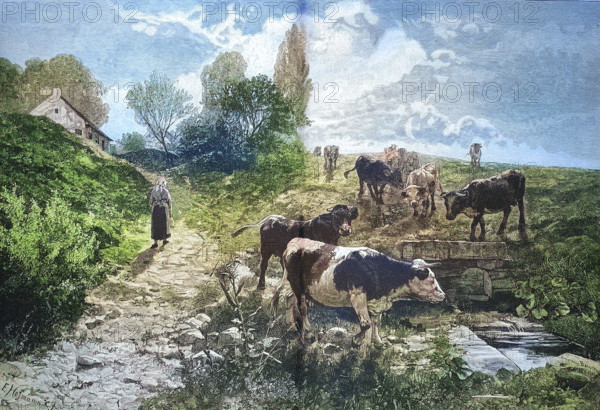 Rural idyll with cows in the pasture