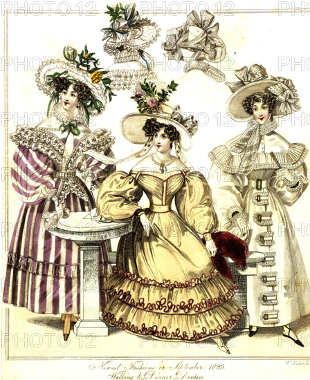 Fashion plate