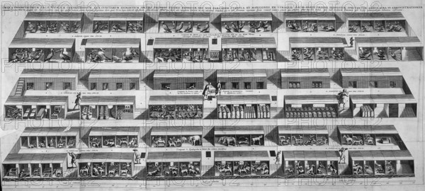 Interior view of Noah's Ark with the animals housed in their compartments on three decks