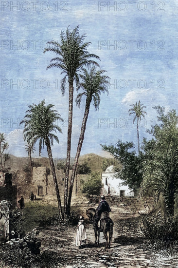 An oasis in the Sahara around 1800. Algeria. digital reproduction of a historical original