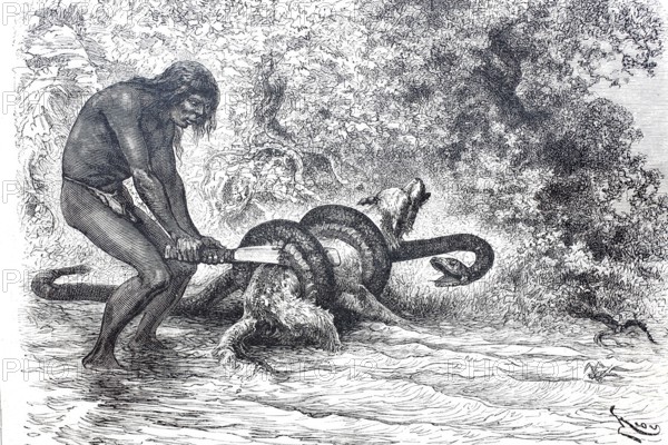 A South American Indian frees his dog from the stranglehold of a boa constrictor snake.