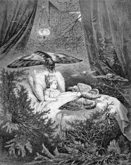 Symbolic image of a midsummer night's dream.