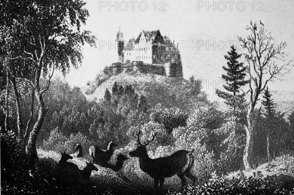 Callenberg Castle in the Coburg district in the Middle Ages.