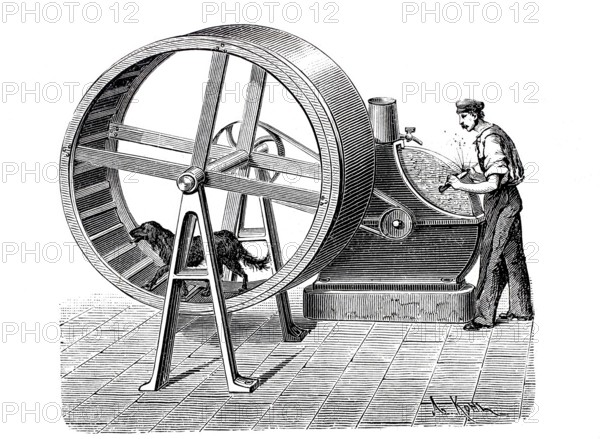 Dog driving a grindstone wheel.