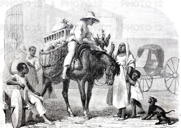 A fruit merchant and poultry dealer in Cuba.