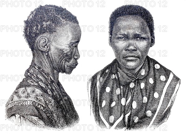 Types of the Khoikhoi.