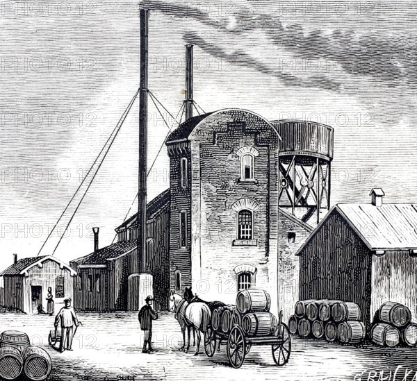 Petroleum springs in Oelheim.