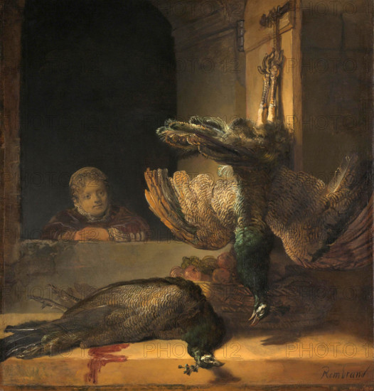 Still life with peacocks