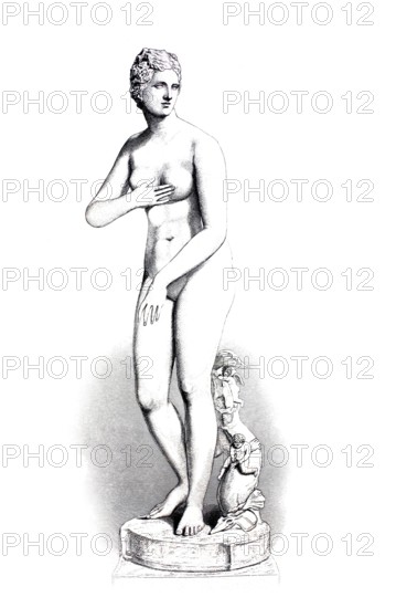 Venus Medici is an ancient statue of the type Venus pudica.