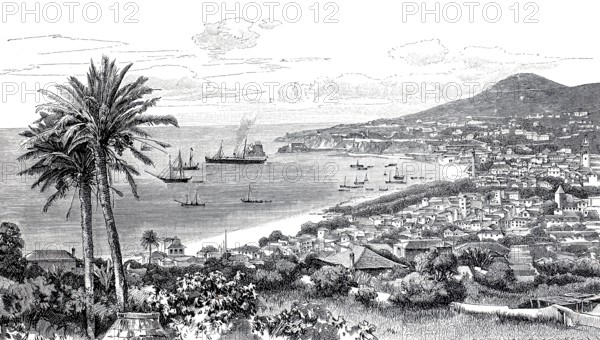 View of Funchal in 1890. Madeira. Portugal. Historical. authentic. digitally restored reproduction from an original from the 19th century