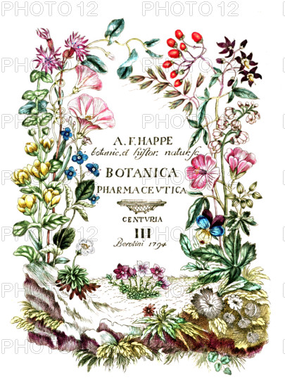 Cover of Botanica Pharmaceutica by Andreas Friedrich Happe