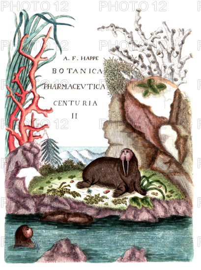 Cover of Botanica Pharmaceutica by Andreas Friedrich Happe