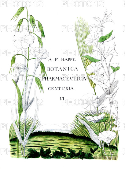 Cover of Botanica Pharmaceutica by Andreas Friedrich Happe
