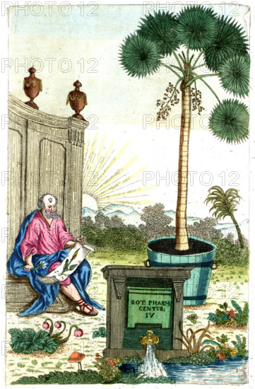 Cover of Botanica Pharmaceutica by Andreas Friedrich Happe