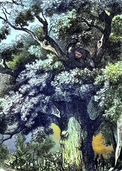 Fleeing after the Battle of Worcester in 1651. King Charles II. on the advice of Colonel William Careless. who had fought at Worcester. hid for a day in an oak tree (the Royal Oak) near Bascobal House in Shropshire. while Parliamentary troops searched the surrounding woods. England. digital reproduction of a historical original