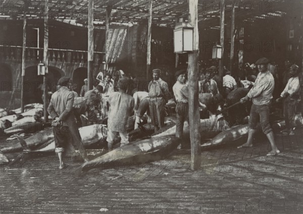 Tuna gutted after the Acireale slaughter