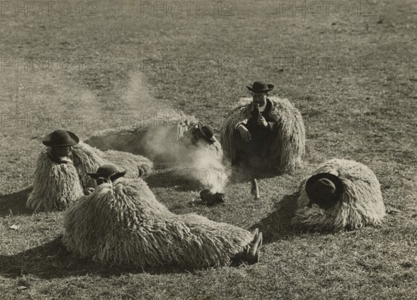 Csikos after a night's rest outdoors