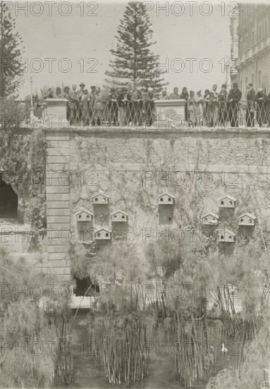 Arethusa Fountain in Ortigia.  Syracuse. 
	
		1924