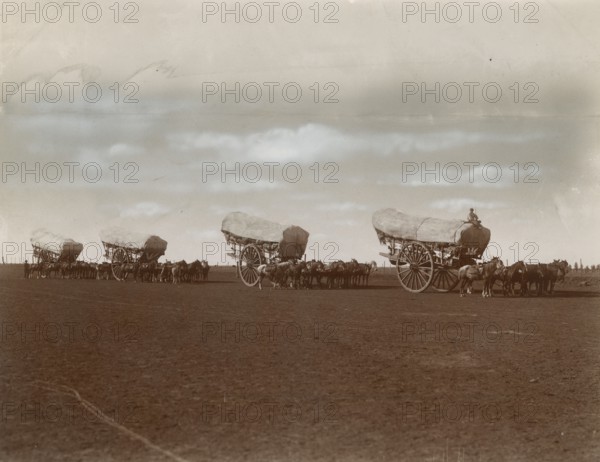 Horses and carts in Argentina. 
	
		1910-1940