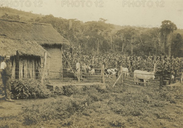 Joao Pinheiro Nucleus: Cacheira e gallinheiro de colono alemao. 1922